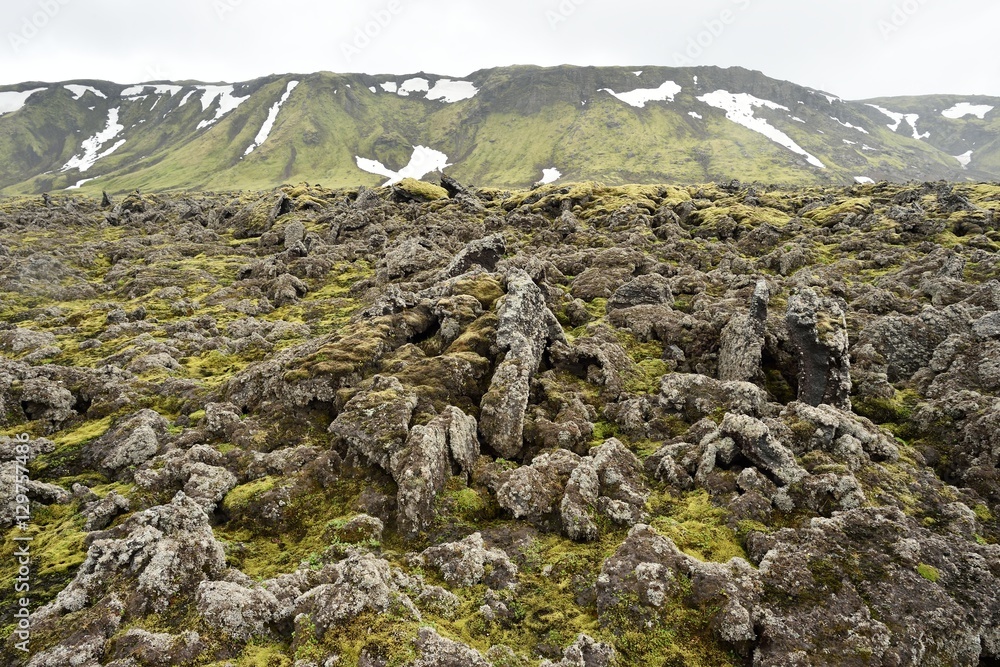 Lava terrain in Iceland. Rocky terrain in Iceland.