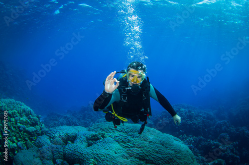 Diver on the reaf © sergemi