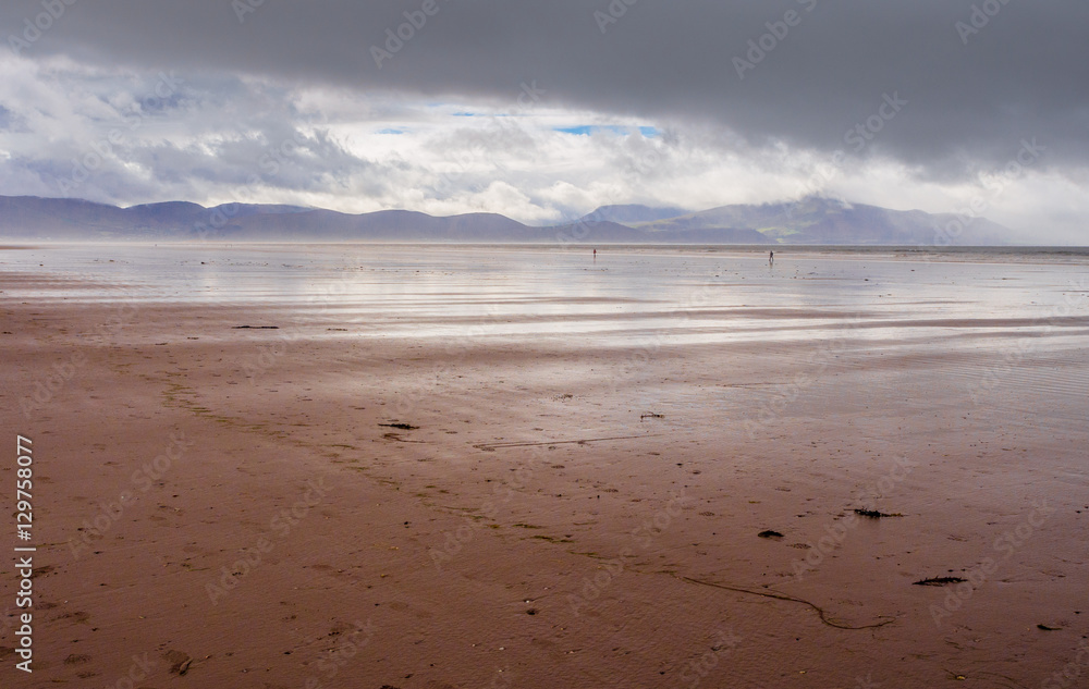 Beautiful Sands of Inch Beach at low tide, Dingle Bay, Kerry, Republic of Ireland