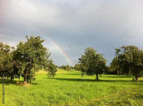 Regenbogen