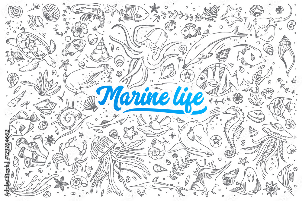 Fototapeta premium Ręcznie rysowane zestaw gryzmoły życia morskiego z niebieskim napisem w wektorze