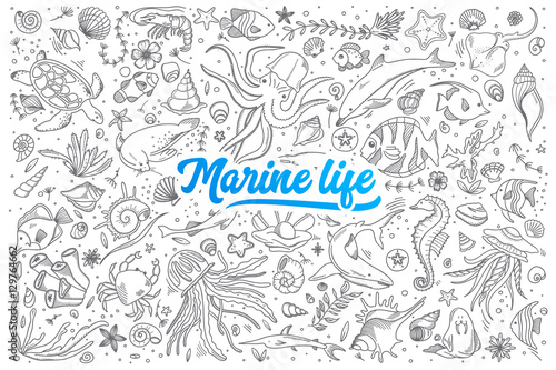 Hand drawn set of marine life doodles with blue lettering in vector