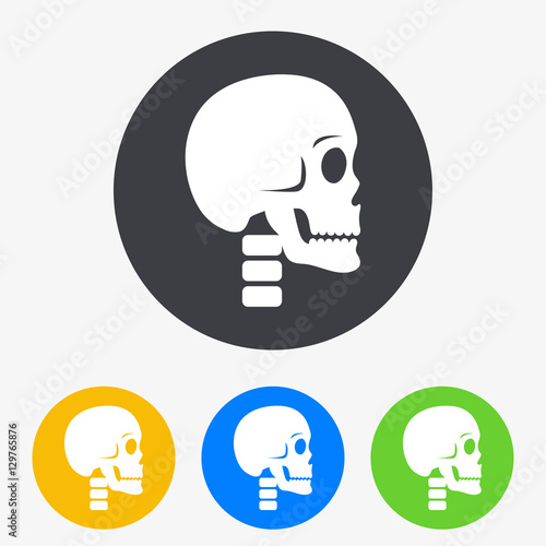 Icono plano craneo y cuello en circulo varios colores