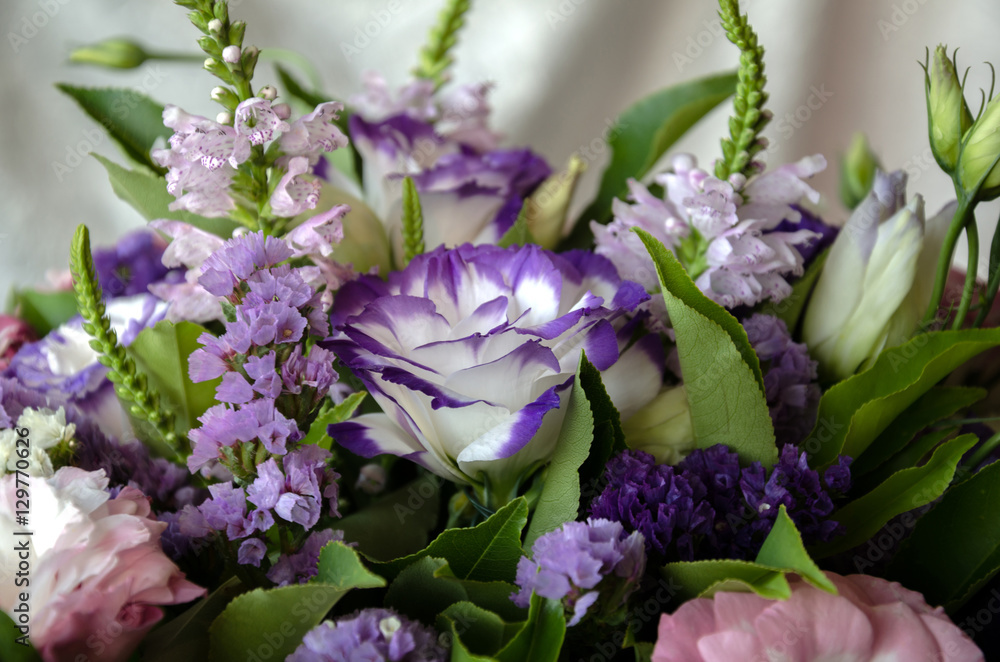 unusual beauty flower unusual beauty flower