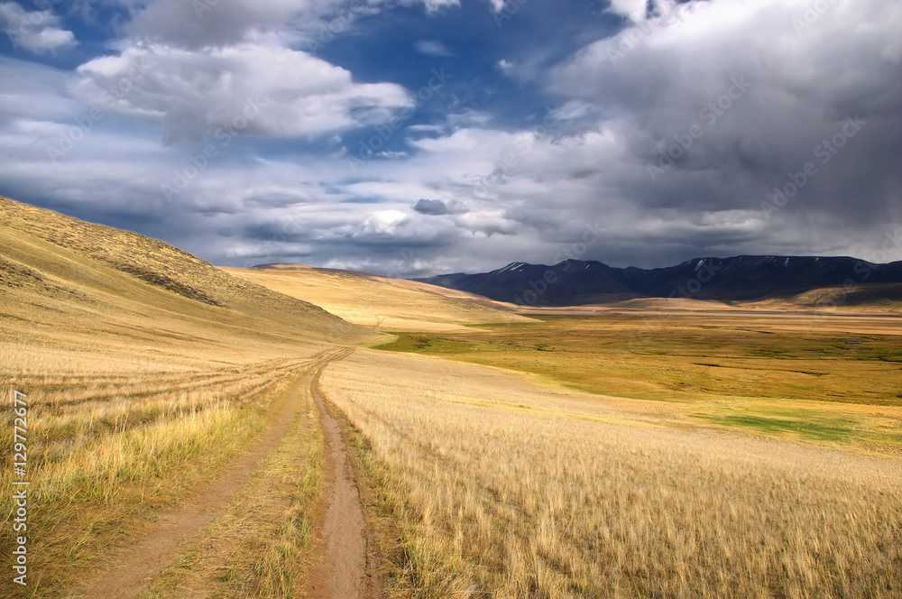 Road path on a desert wild mountain plateau with the orange yellow dry grass at the background of the hills under a stormy dramatic blue sky with white clouds, Plateau Ukok, Altai, Siberia, Russia