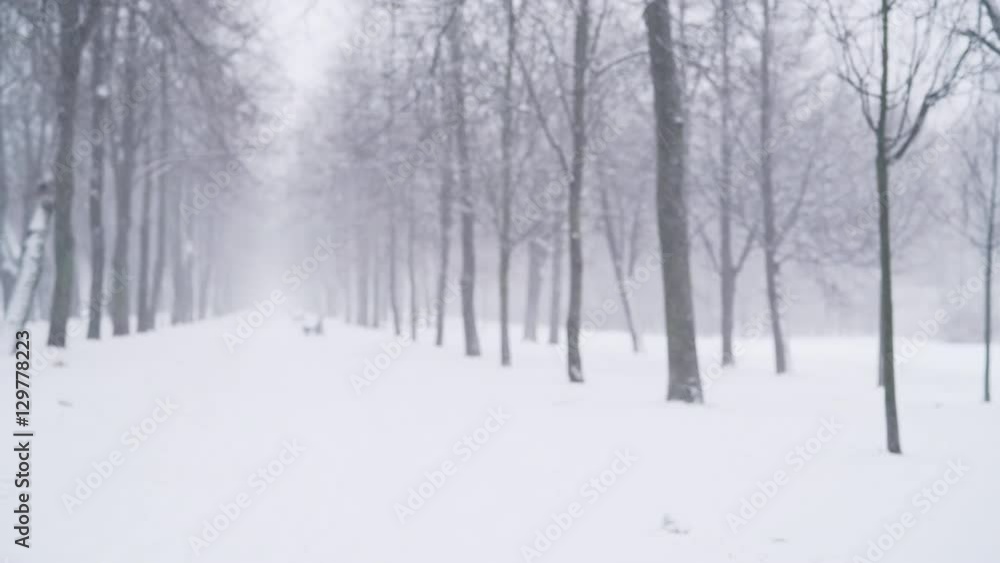 strong snowfall on alley in town with blurred background, uhd prores footage strong snowfall on alley in town with blurred background, uhd prores footage
