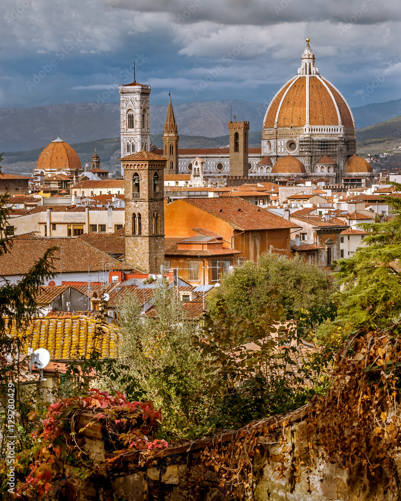 Naklejka premium Florence