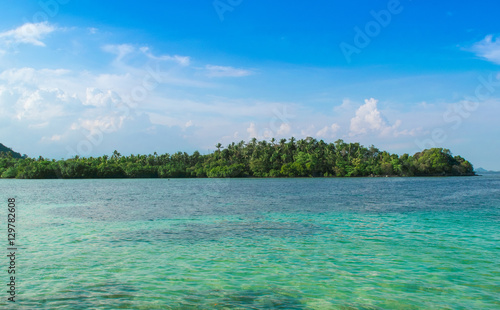 Beautiful tropical sea with the clear water and green forest