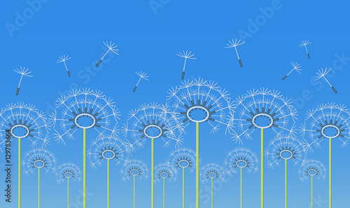 Outline dandelion flowers applique on a blue background. Vector illustration