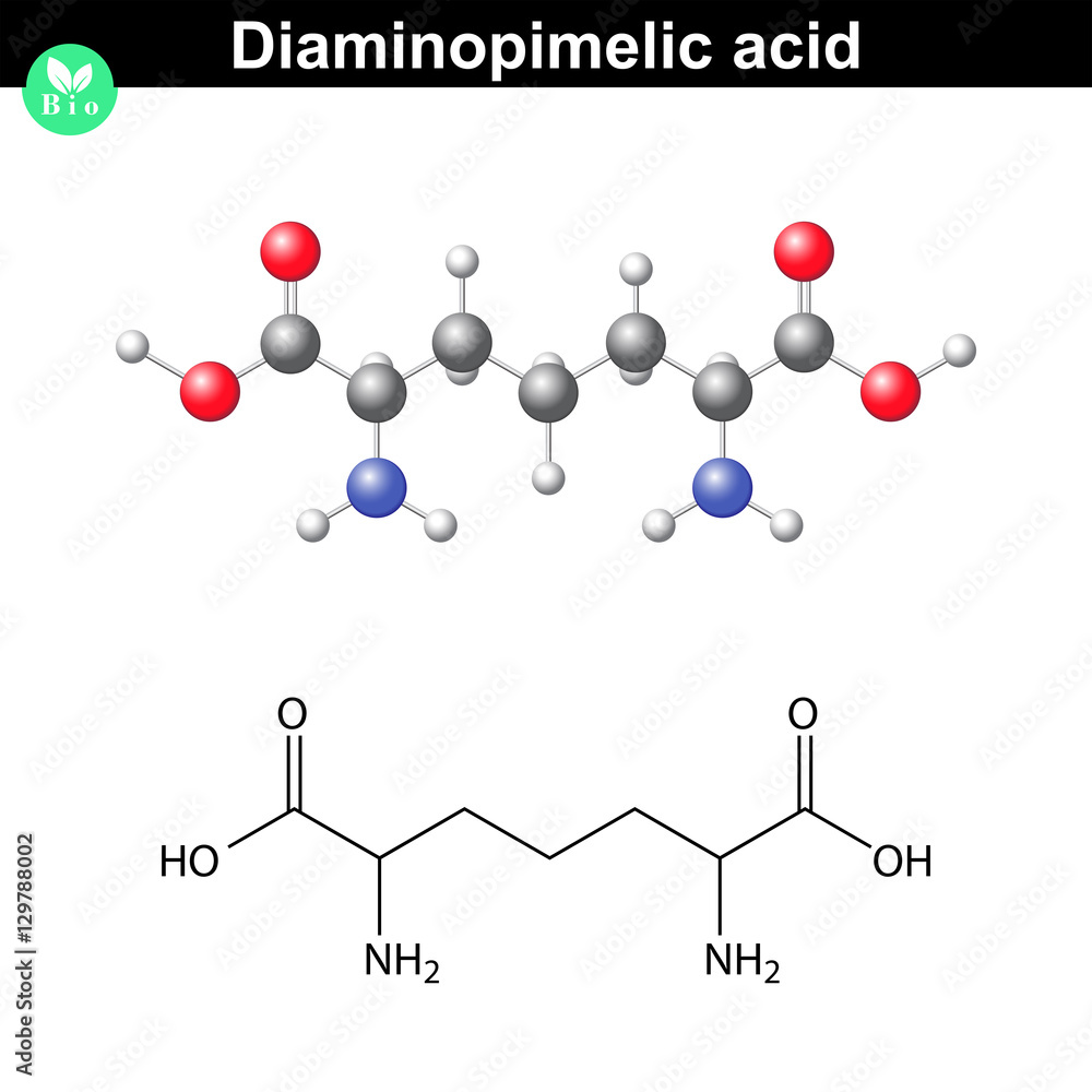 Diaminopimelic acid moelcular structure