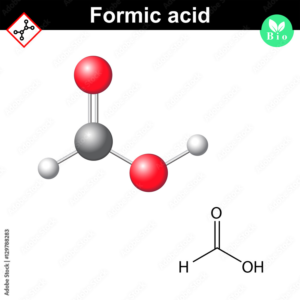 Formic acid molecular formula Formic acid molecular formula