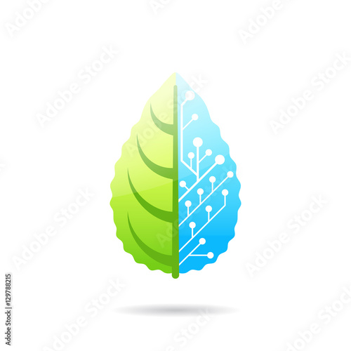 Leaf consisting of biological and artificial parts