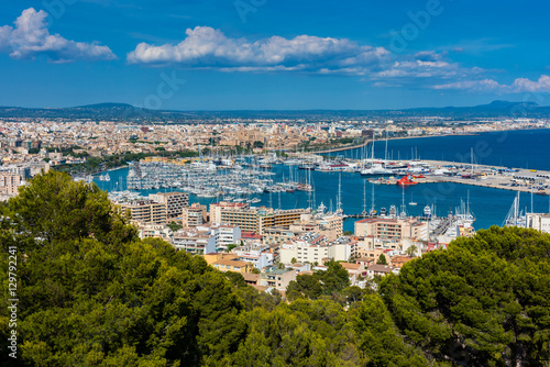 Marina and Harbor of Palma de Mallorca © allard1