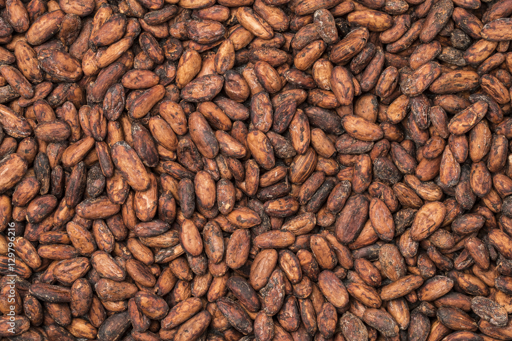 Cacao beans background