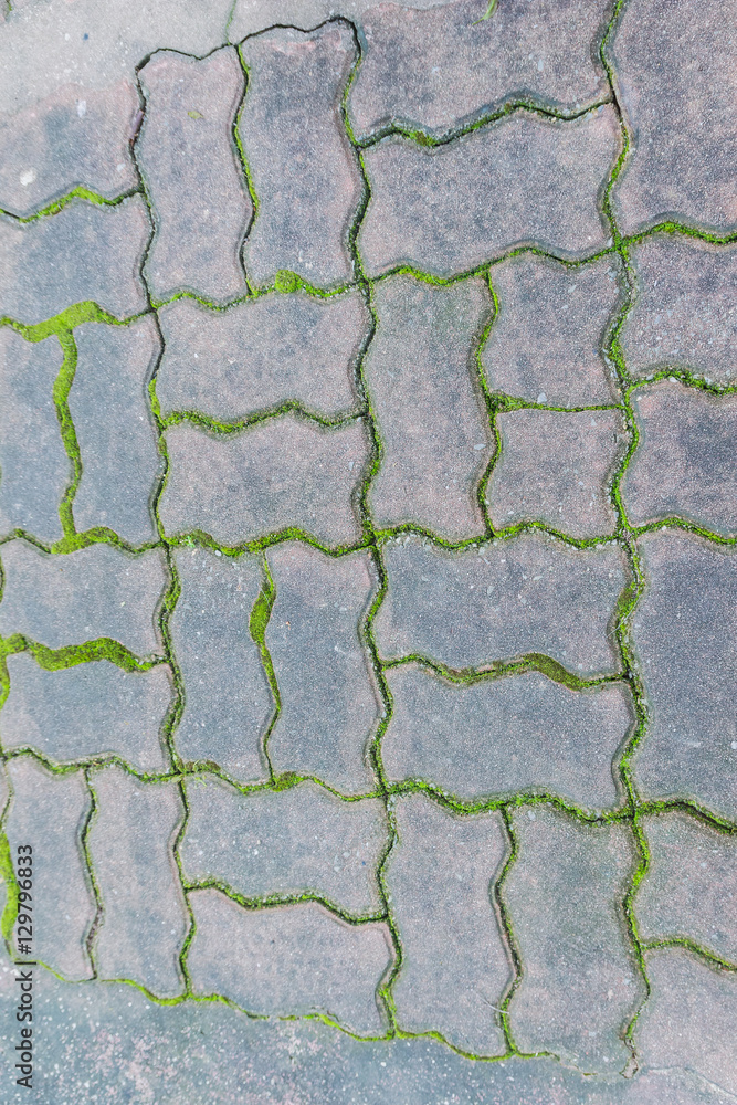 Paving block with moss can be used as background