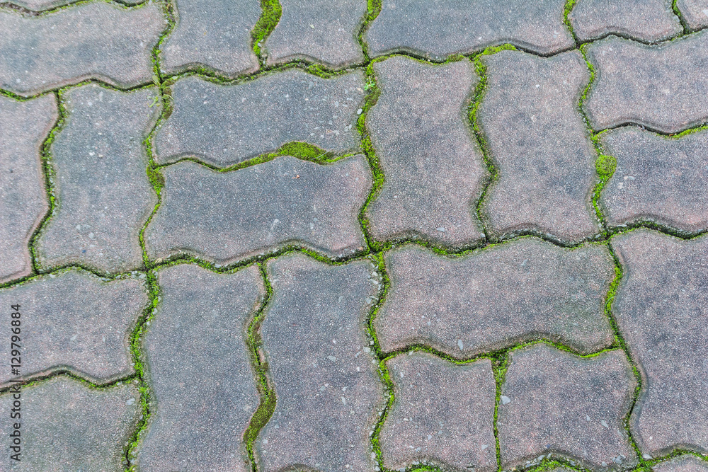 Paving block with moss can be used as background Paving block with moss can be used as background