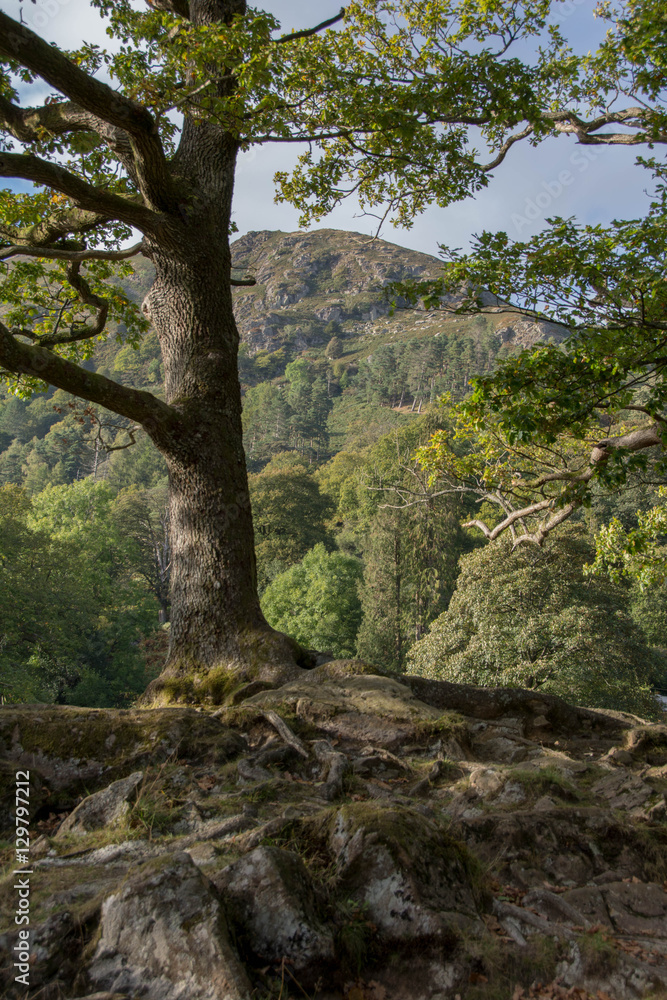 Rydal Water. Lake District