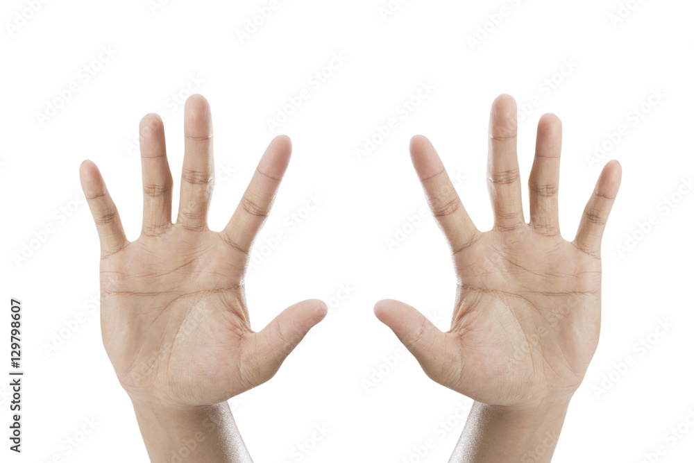 hand symbol showing the five fingers isolated on a white background hand symbol showing the five fingers isolated on a white background