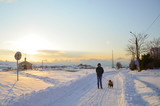 Man have a walk with dog winter