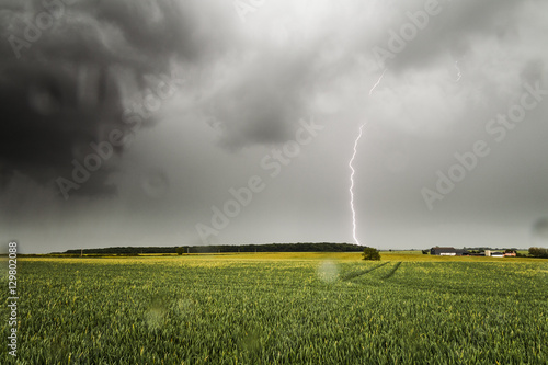 Lightning Storm Over The Field