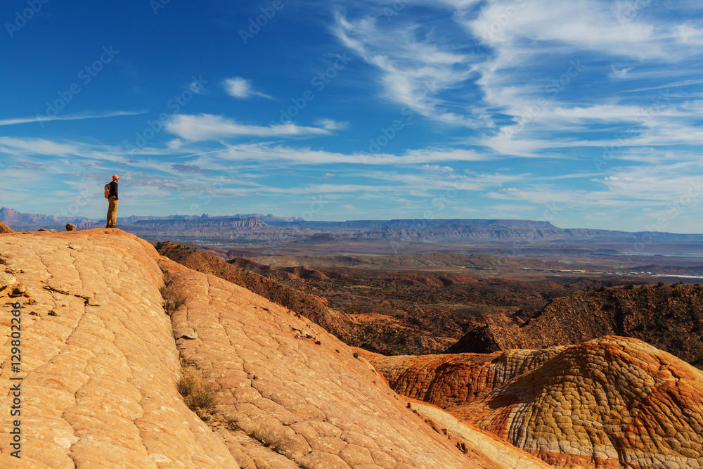 Naklejka premium Yant flat