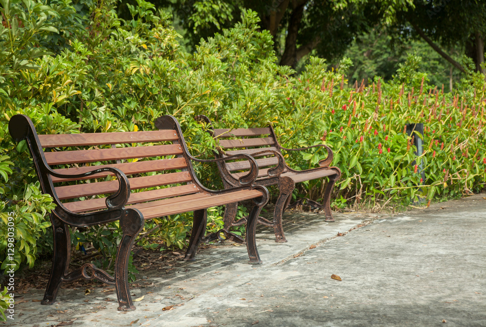 Bench in the park Bench in the park