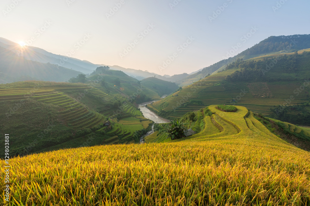 Morning Light and beautiful nature of rice field on terrace in Vietnam Landscape.