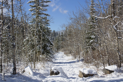 Winter Hiking Trail