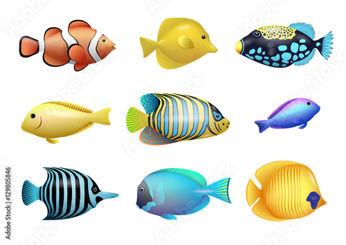 Set of drawings of bright exotic tropical fish from coral reefs. Vector graphics