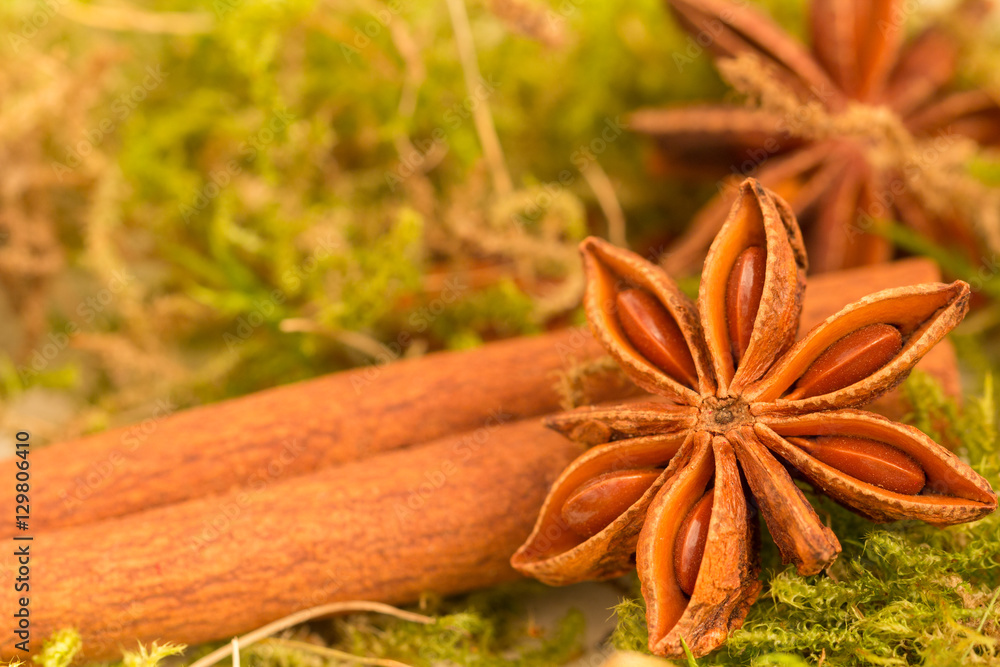 star anise and cinnamon star anise and cinnamon
