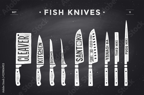 Fish cutting knives set. Poster of Butcher diagram and scheme - Fish Knives. Set of fish knives for butcher shop and design butcher theme. Vintage typographic hand-drawn. Vector illustration