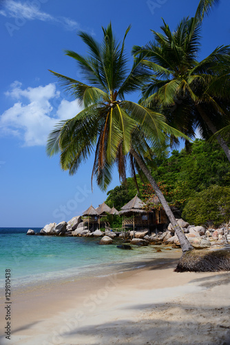 Bungalows hut on a tropical beach with nature background, Koh Tao, Thailand