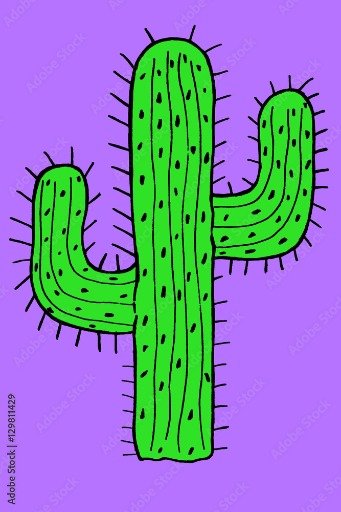 Green Cactus Illustration Green Cactus Illustration