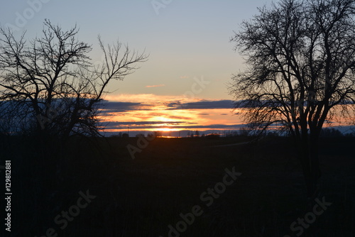 beautiful landscape: Spring sunset through the trees, nature, countryside 