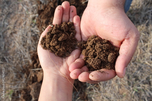 a man's and a woman's hand that hold soil with wasteland background