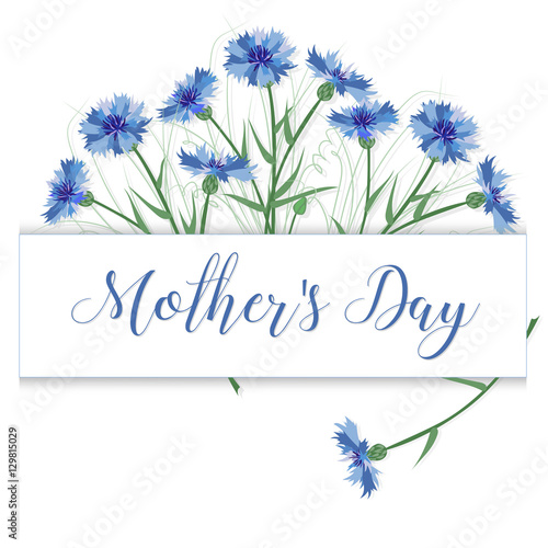 Greeting card with cornflowers on Mother's Day. Congratulations.