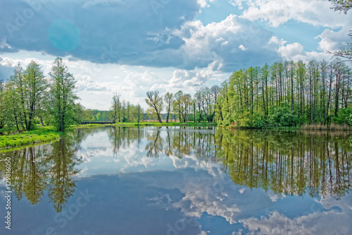 Trees reflected in pond in Bialowieza National Park in Poland