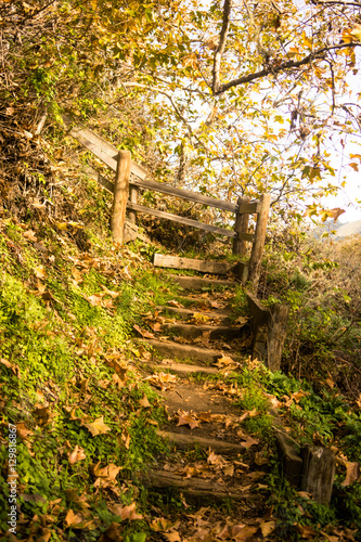 stairs on a trail 