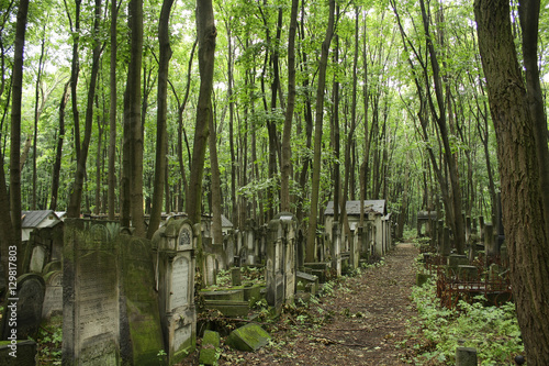 jewish cemetery, zydowski, warsaw, poland