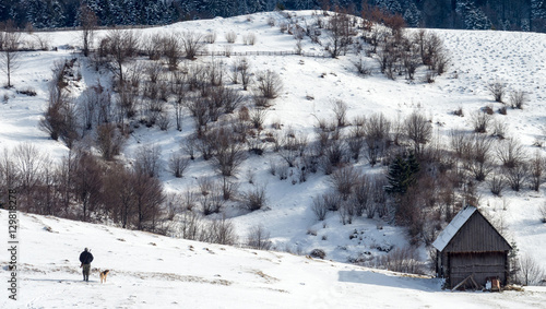 Wallpaper Mural A hunter with a dog and a gun goes in the snow near the wooden hut in the forest. Winter hunt. Torontodigital.ca