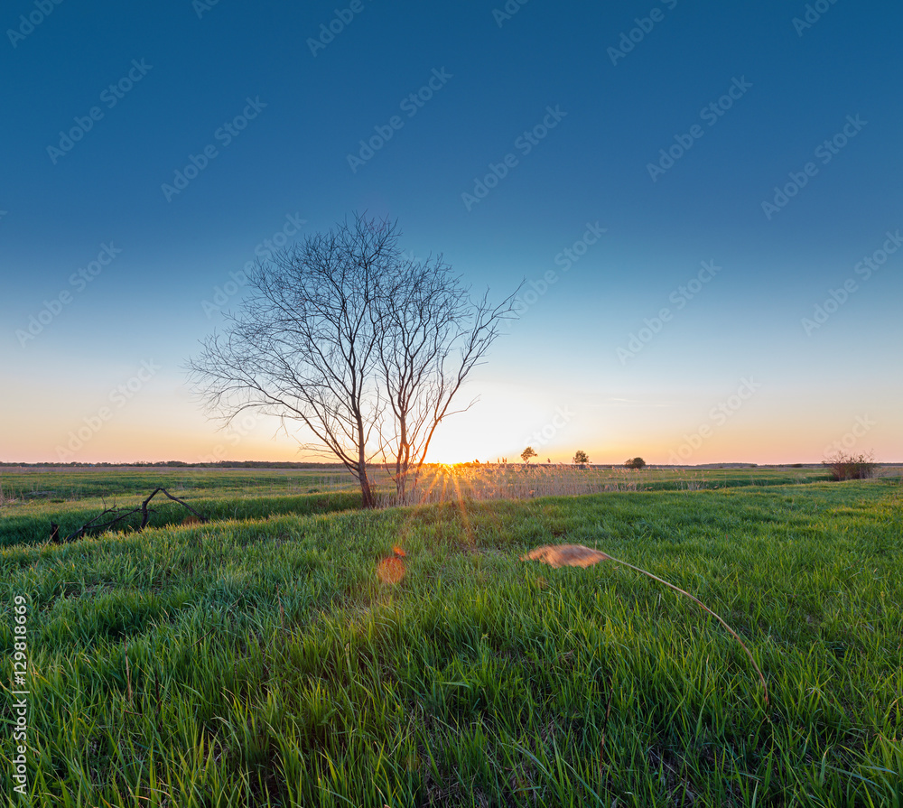 Fototapeta premium Rural landscape