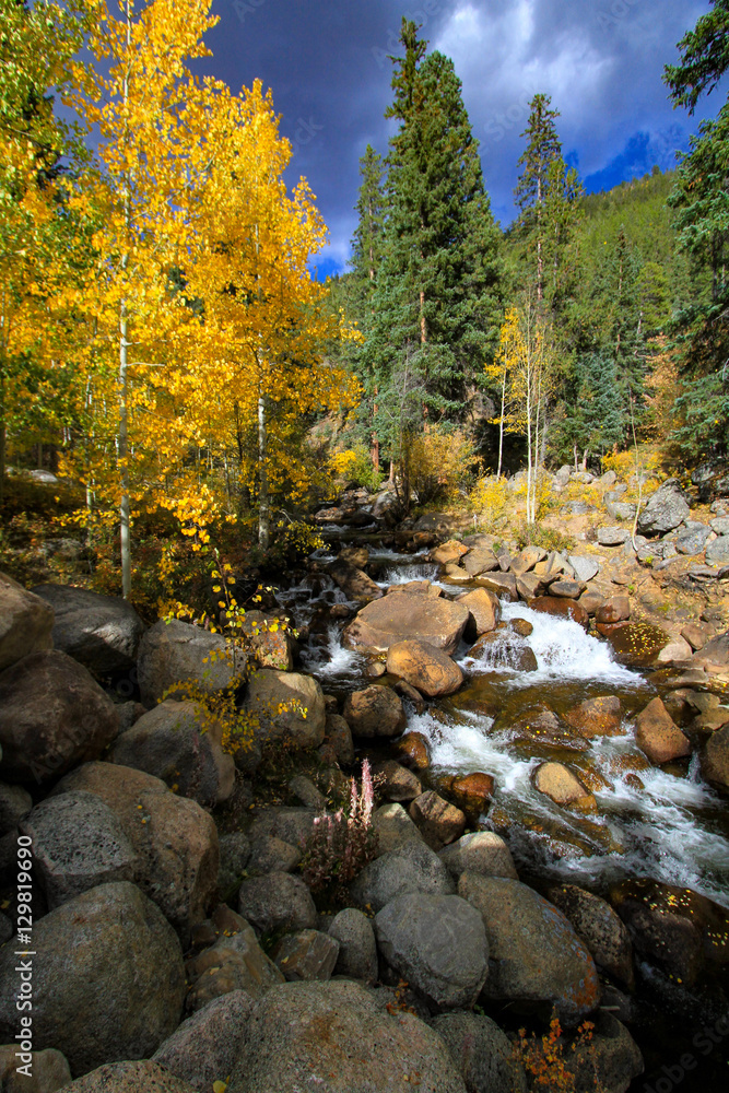 Fall Color Along Guanella Pass 2 Fall Color Along Guanella Pass 2