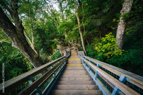 Stairways at Chimney Rock State Park  North Carolina.