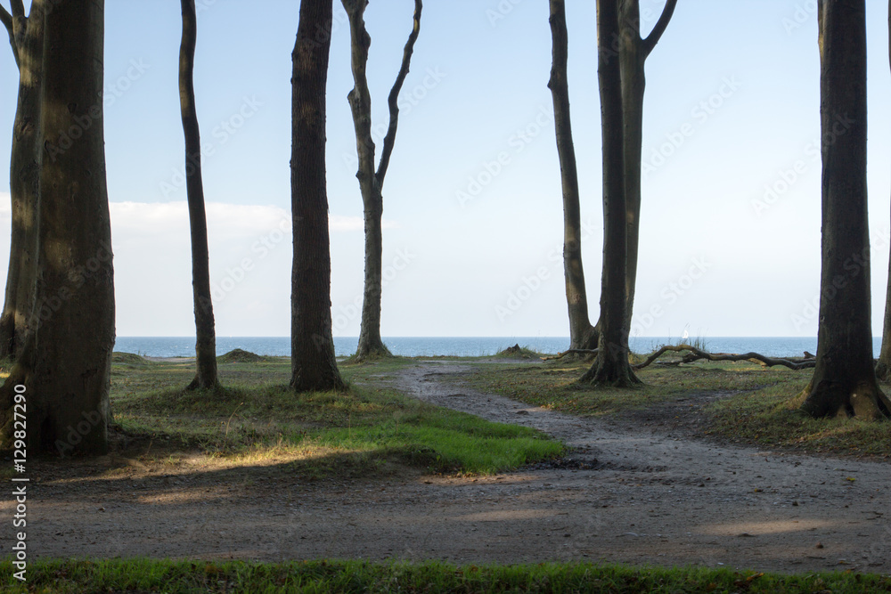 Natur Landschaft Küste 