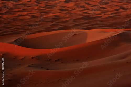 Merzouga, Marokko, Erg Chebbi, Sahara, Wueste  photo