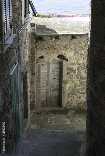 Fototapeta Naklejka Na Ścianę i Meble -  Wooden Doors - entrances to city homes in Europe