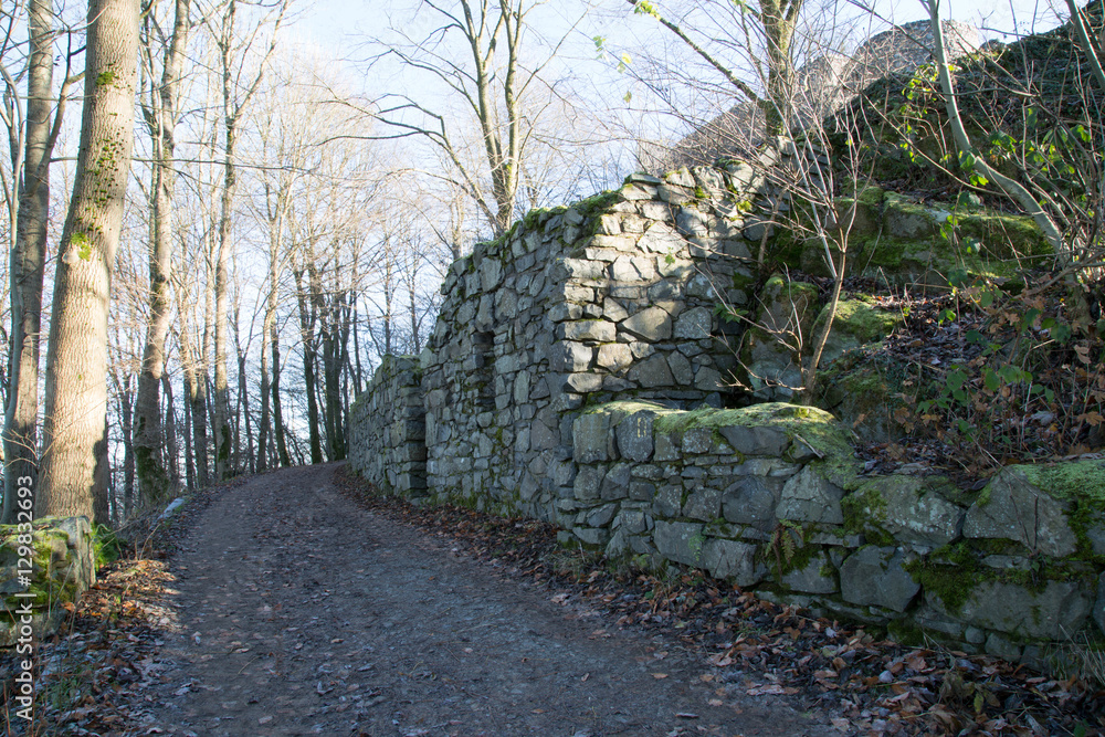 Löwenburg Ruine; Siebengebirge, Herbst StockFoto Adobe Stock