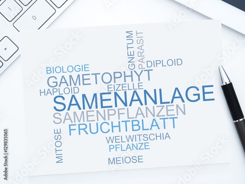 Samenanlage