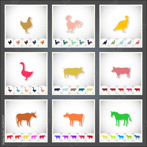 Livestock and Poultry. A set of flat stickers with shadow on white background