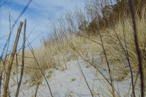 Wallpaper Mural sunny beach with sand dunes Torontodigital.ca
